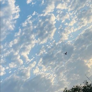 Meet your Posher, Palak